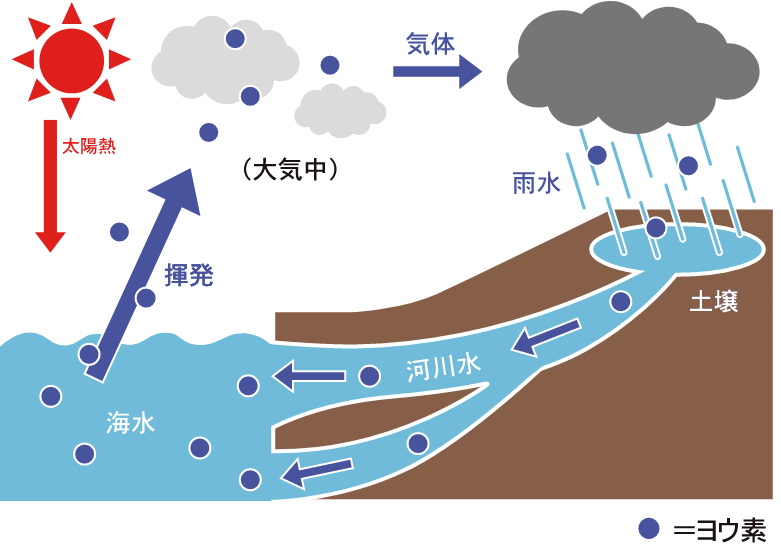 循環するヨウ素図