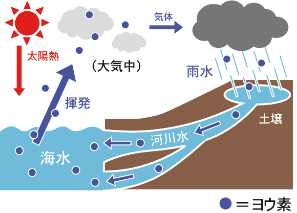 循環するヨウ素図