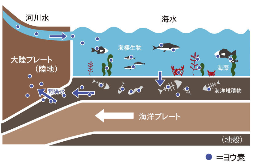 海洋堆積物中に蓄積されるヨウ素図
