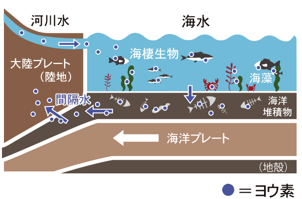 海洋堆積物中に蓄積されるヨウ素図